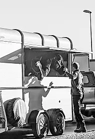 Horse Transport