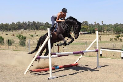 Equine Alchemy