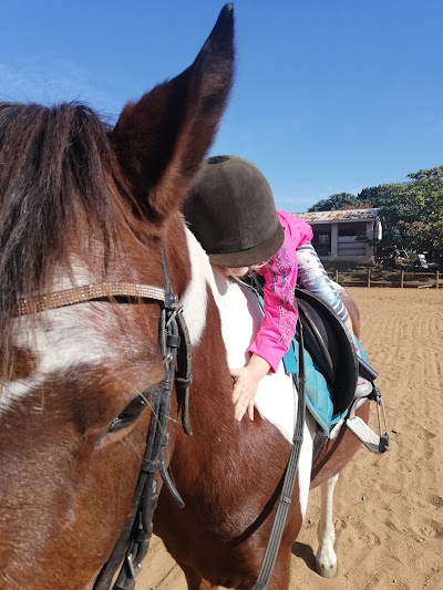 Anlana Stables
