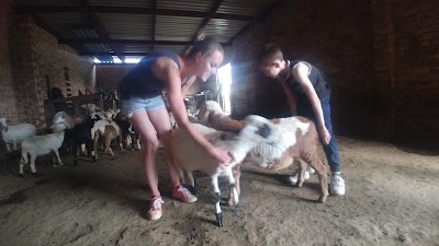 Kenzie Equestrian Centre