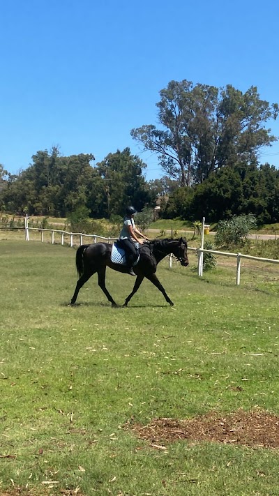 Honeyvale Rehabilitation And Riding Centre