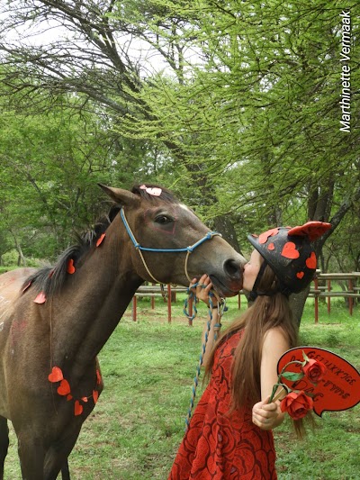 Kierieklapper Reins of Faith Equestrian