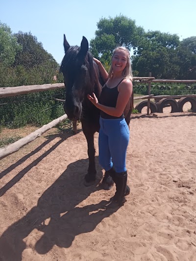 Gomez Equestrian