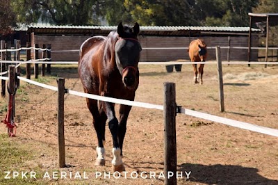 Blue Gum Equestrian