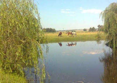 Khamsin Stables