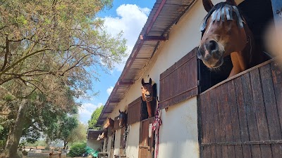 Crystal Ridge Equestrian Centre