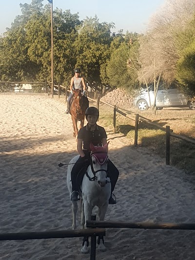 SILVER OAKS EQUESTRIAN CENTRE