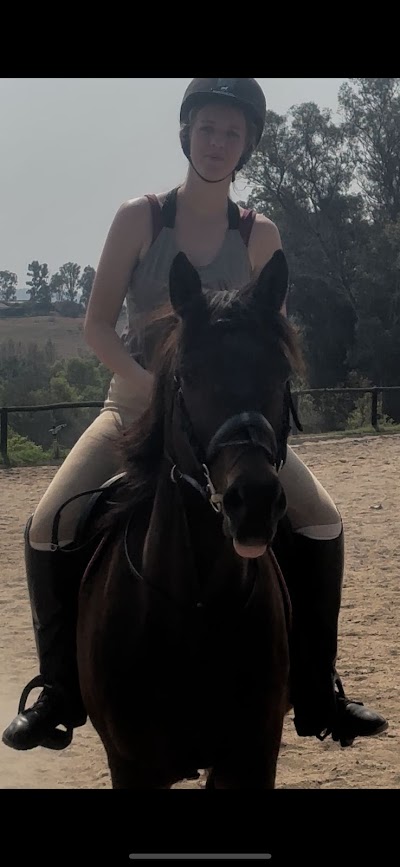 Apex Equine