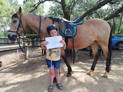 Step It Up Horse Riding Therapy