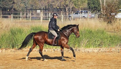 Hoofside Equestrian Centre