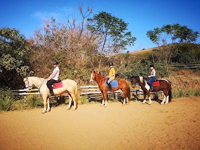 Thelwells Equestrian Centre