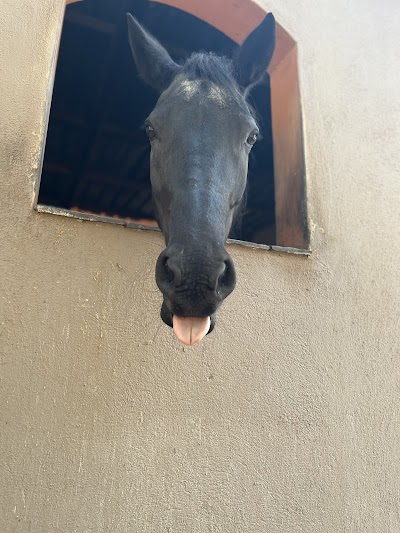 Ama Casa Stables