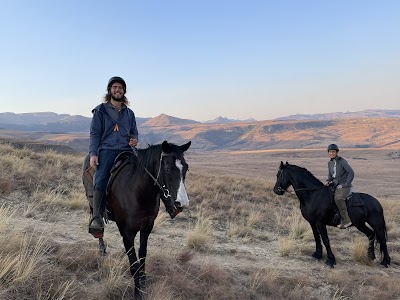 The Northern Horse