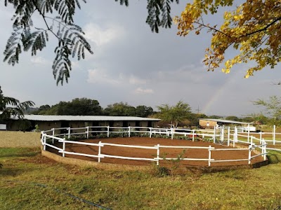 Rocky View Stables
