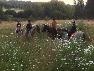 Ranger Stables