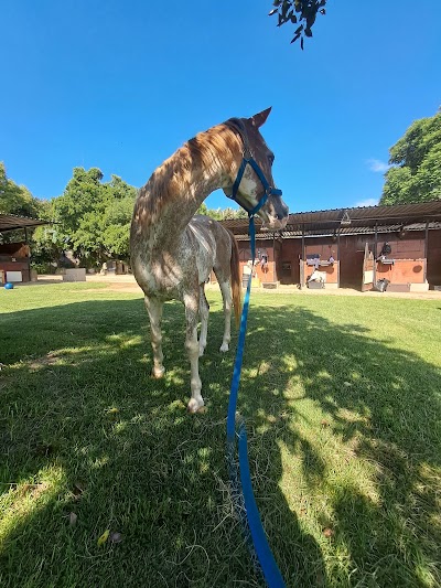 Maxim's Equestrian Centre