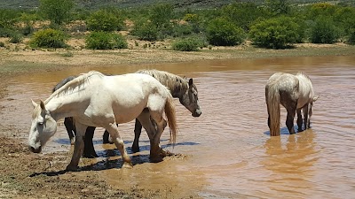 Matjiesrivier