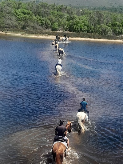 Gansbaai Horse Riding