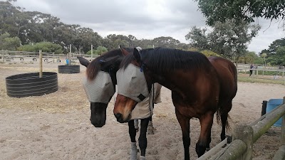 The White House Stables