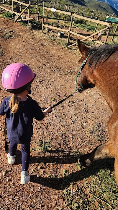 Breede Valley Equestrian