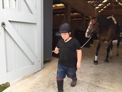 Healing Hearts Horse Assisted Therapy