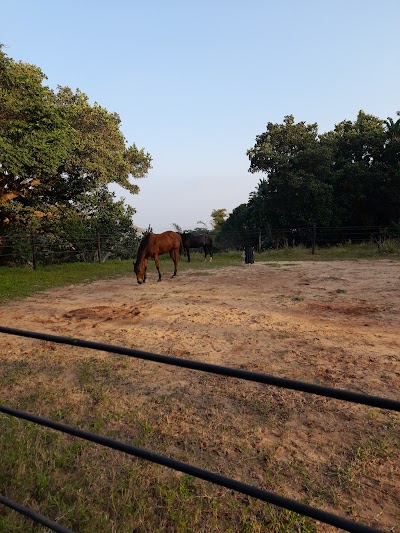 Umzumbe Stables and Equine Centre