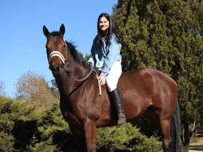 Venture Stables