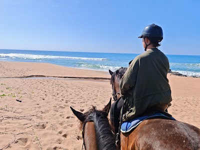 Beach Adventures