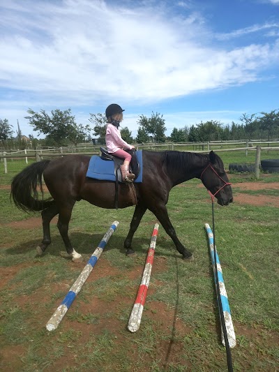 Firstride Riding School