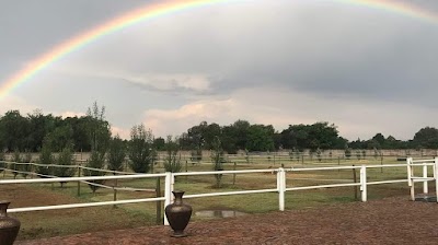 Equine Eccentrix