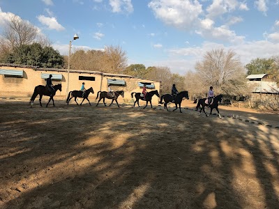 Pegasus Riding Club