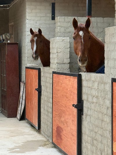 Valley View Equestrian