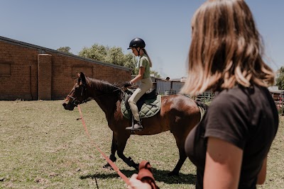 Robertson Horse Adventures