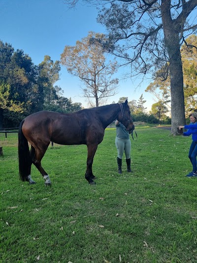 Ebb and Flow Stables