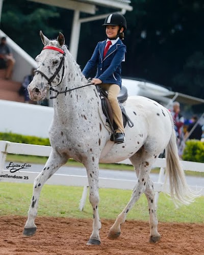 Hoof Prints Riding School