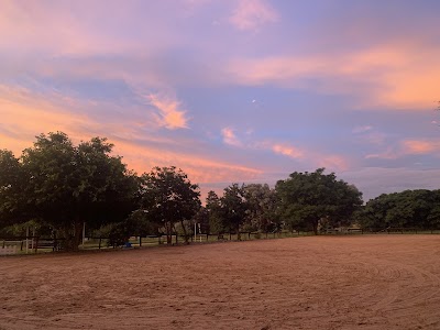 Starlight Lane Stables