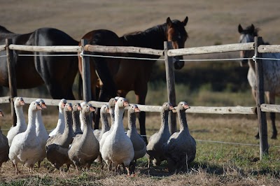 Allemanskloof Farm