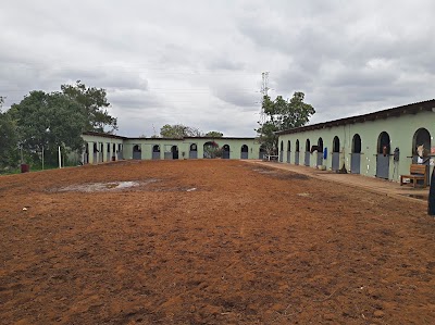 Queensway Stables