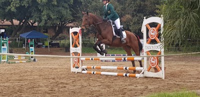 Resne - Resné Equine Training