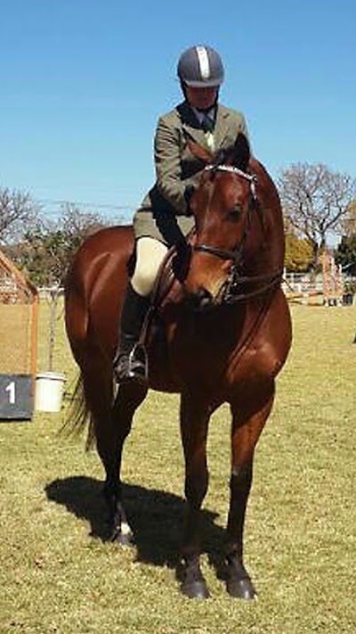 Phaeton Park Stables