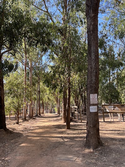 Maties Equestrian Club