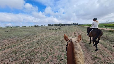 Equus Park Riding Academy