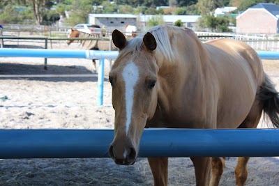 Legends Equestrian Centre