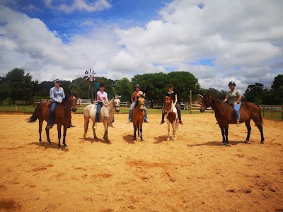 Opensky Pringle Equestrian