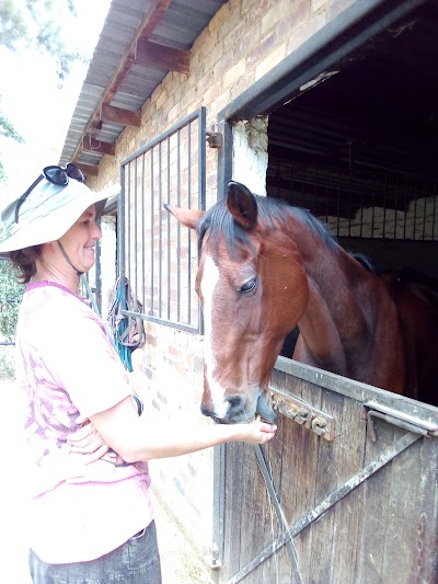Hobo's Hide Stables