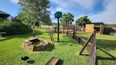 The Green Horse Club