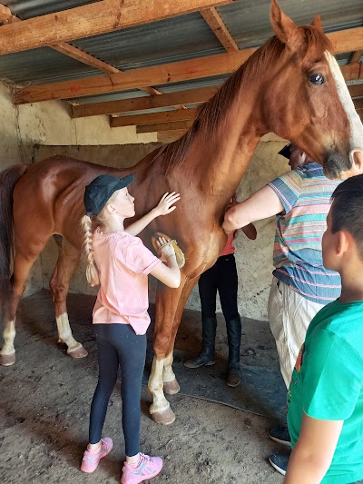 Paglapur Stables