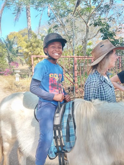 Horses and Healing