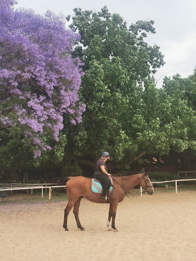 Johannesburg Equestrian Centre