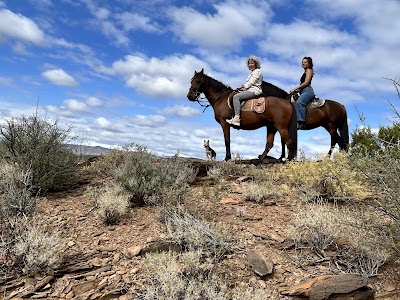 Klein Karoo Horse Adventures